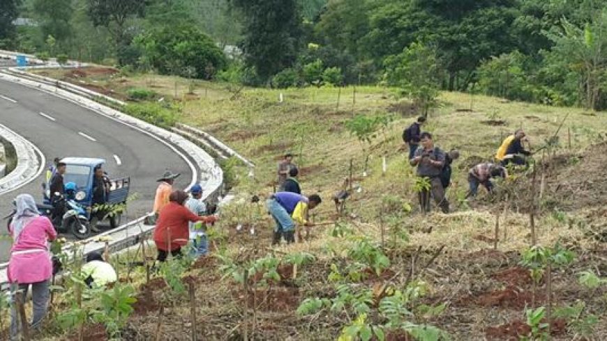 Penanaman Jenis Pohon Khas Jawa Barat Di Kampus ITB Jatinangor