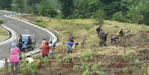 Penanaman Jenis Pohon Khas Jawa Barat Di Kampus ITB Jatinangor